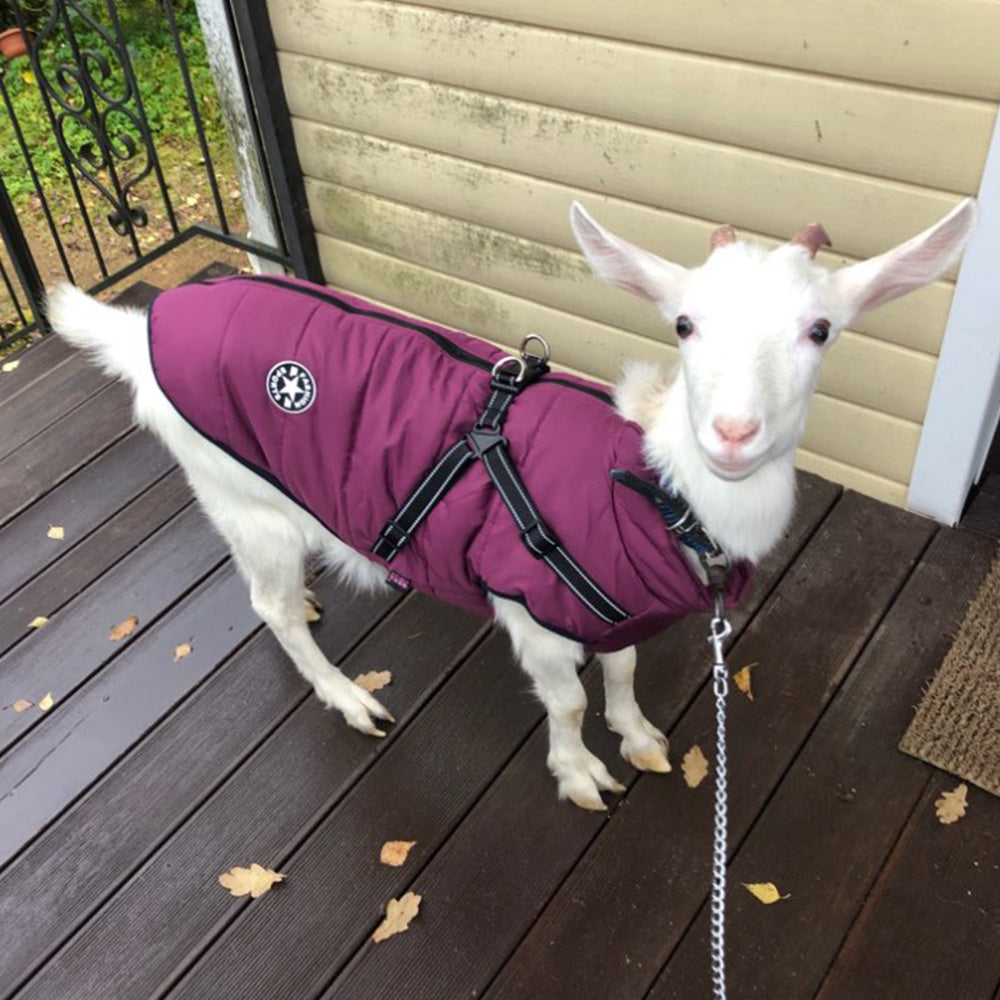 Waterproof Dog Clothes