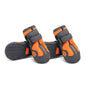 Big Dog Shoes