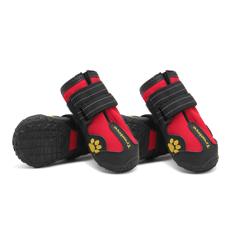 Big Dog Shoes