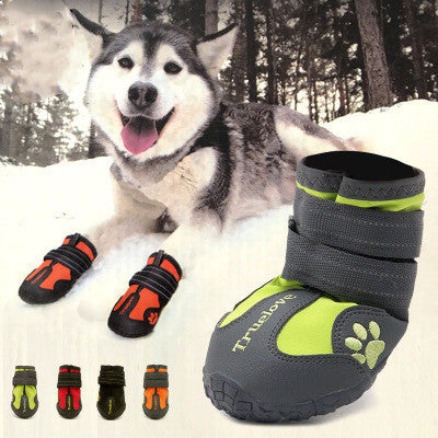 Big Dog Shoes