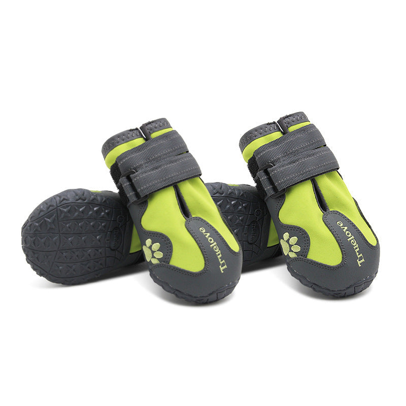 Big Dog Shoes