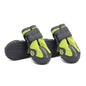 Big Dog Shoes