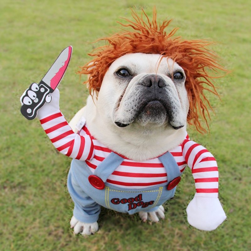 Halloween Pet Costume pet dog funny clothes from pawtastic store