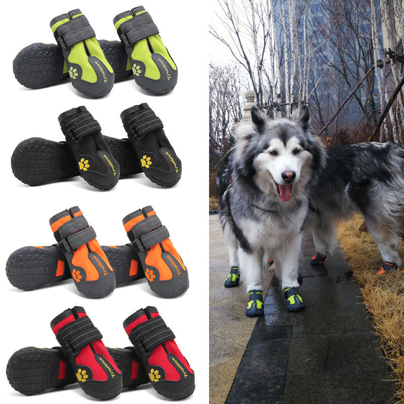 Big Dog Shoes